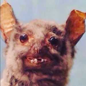 Meet your Posher, Mauricio